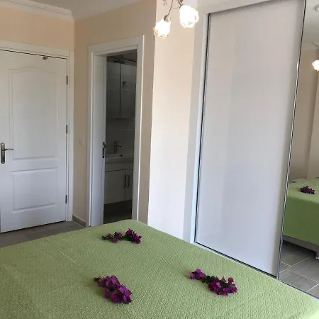 Vılla Velı Villa *