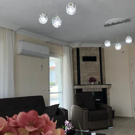 Vılla Velı